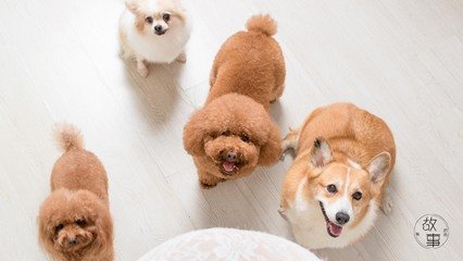 plustoken钱包官网