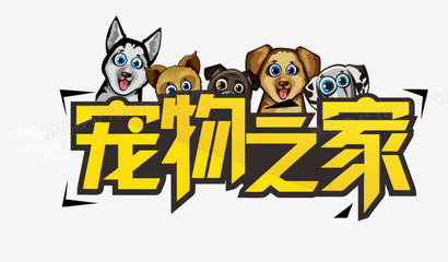 BUSD钱包钱包